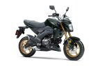 Thumbnail Photo 2 for New 2024 Kawasaki Z125 Pro