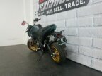 Thumbnail Photo 5 for New 2024 Kawasaki Z125 Pro