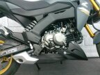 Thumbnail Photo 2 for New 2024 Kawasaki Z125 Pro