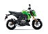 2024 Kawasaki Z125 Pro