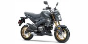 New 2024 Kawasaki Z125 Pro
