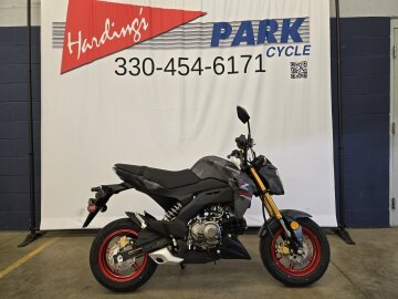 New 2024 Kawasaki Z125 Pro