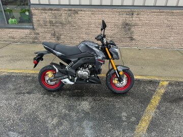 New 2024 Kawasaki Z125 Pro