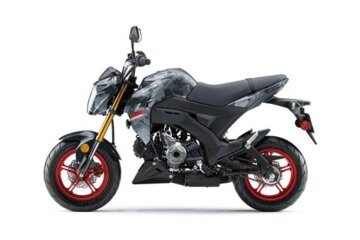 New 2024 Kawasaki Z125 Pro