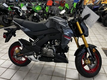 New 2024 Kawasaki Z125 Pro