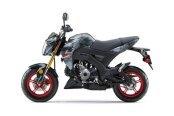 New 2024 Kawasaki Z125 Pro