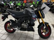 New 2024 Kawasaki Z125 Pro