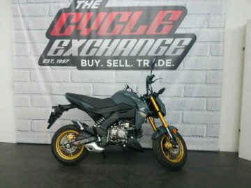New 2024 Kawasaki Z125 Pro