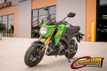 2024 Kawasaki Z125 Pro