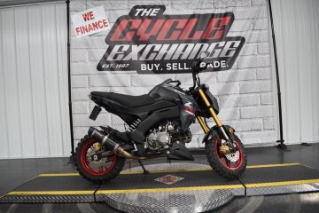 New 2024 Kawasaki Z125 Pro