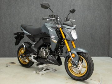 2024 Kawasaki Z125 Pro