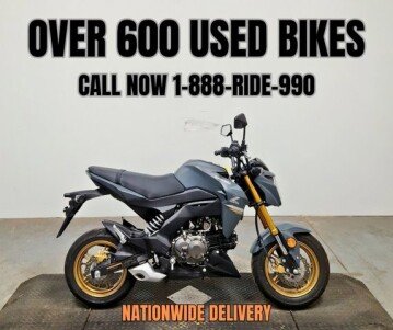 2024 Kawasaki Z125 Pro