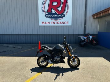 2024 Kawasaki Z125 Pro