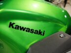 Thumbnail Photo 6 for New 2024 Kawasaki Z500 ABS