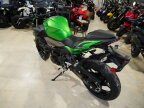 Thumbnail Photo 3 for New 2024 Kawasaki Z500 ABS