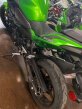 Thumbnail Photo 4 for 2024 Kawasaki Z500 ABS