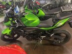 Thumbnail Photo 2 for 2024 Kawasaki Z500 ABS