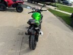 Thumbnail Photo 2 for New 2024 Kawasaki Z500 ABS