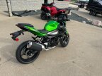 Thumbnail Photo 1 for New 2024 Kawasaki Z500 ABS