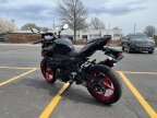 Thumbnail Photo 4 for 2024 Kawasaki Z500 SE ABS