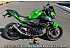 2024 Kawasaki Z500 ABS