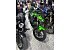 2024 Kawasaki Z500 ABS