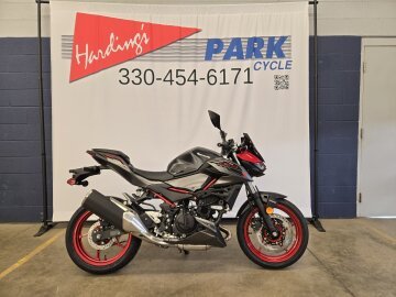 New 2024 Kawasaki Z500