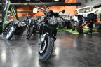 Thumbnail Photo 1 for New 2024 Kawasaki Z900 RS