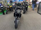 Thumbnail Photo 6 for New 2024 Kawasaki Z900