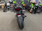 Thumbnail Photo 2 for New 2024 Kawasaki Z900