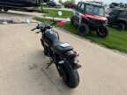 Thumbnail Photo 3 for New 2024 Kawasaki Z900 RS