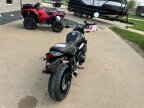 Thumbnail Photo 2 for New 2024 Kawasaki Z900 RS