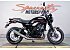 2024 Kawasaki Z900 RS