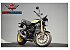 New 2024 Kawasaki Z900