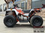 Thumbnail Photo 2 for New 2024 Kayo Bull 125