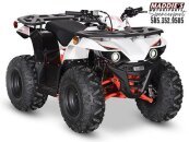 New 2024 Kayo Bull 125