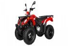 Thumbnail Photo 1 for New 2024 Kayo Bull 200