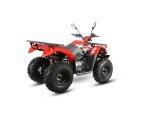 Thumbnail Photo 6 for New 2024 Kayo Bull 200