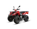 Thumbnail Photo 3 for New 2024 Kayo Bull 200