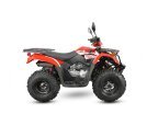 Thumbnail Photo 6 for New 2024 Kayo Bull 200