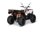Thumbnail Photo 5 for New 2024 Kayo Bull 300