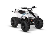 New 2024 Kayo EA70