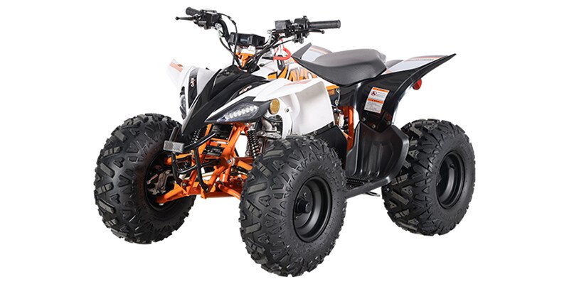 2024 Kayo Predator 110 specifications