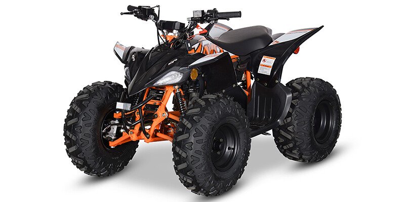2024 Kayo Predator 125 EFI specifications