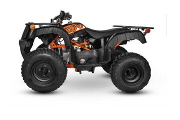 New 2024 Kayo Storm 150