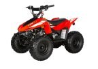 Thumbnail Photo 6 for New 2024 Kayo Storm 70