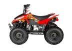 Thumbnail Photo 5 for New 2024 Kayo Storm 70