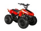 Thumbnail Photo 6 for New 2024 Kayo Storm 70