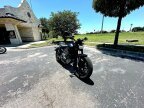 Thumbnail Photo 2 for 2024 Livewire S2 Del Mar