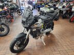 Thumbnail Photo 6 for New 2024 Moto Guzzi Stelvio